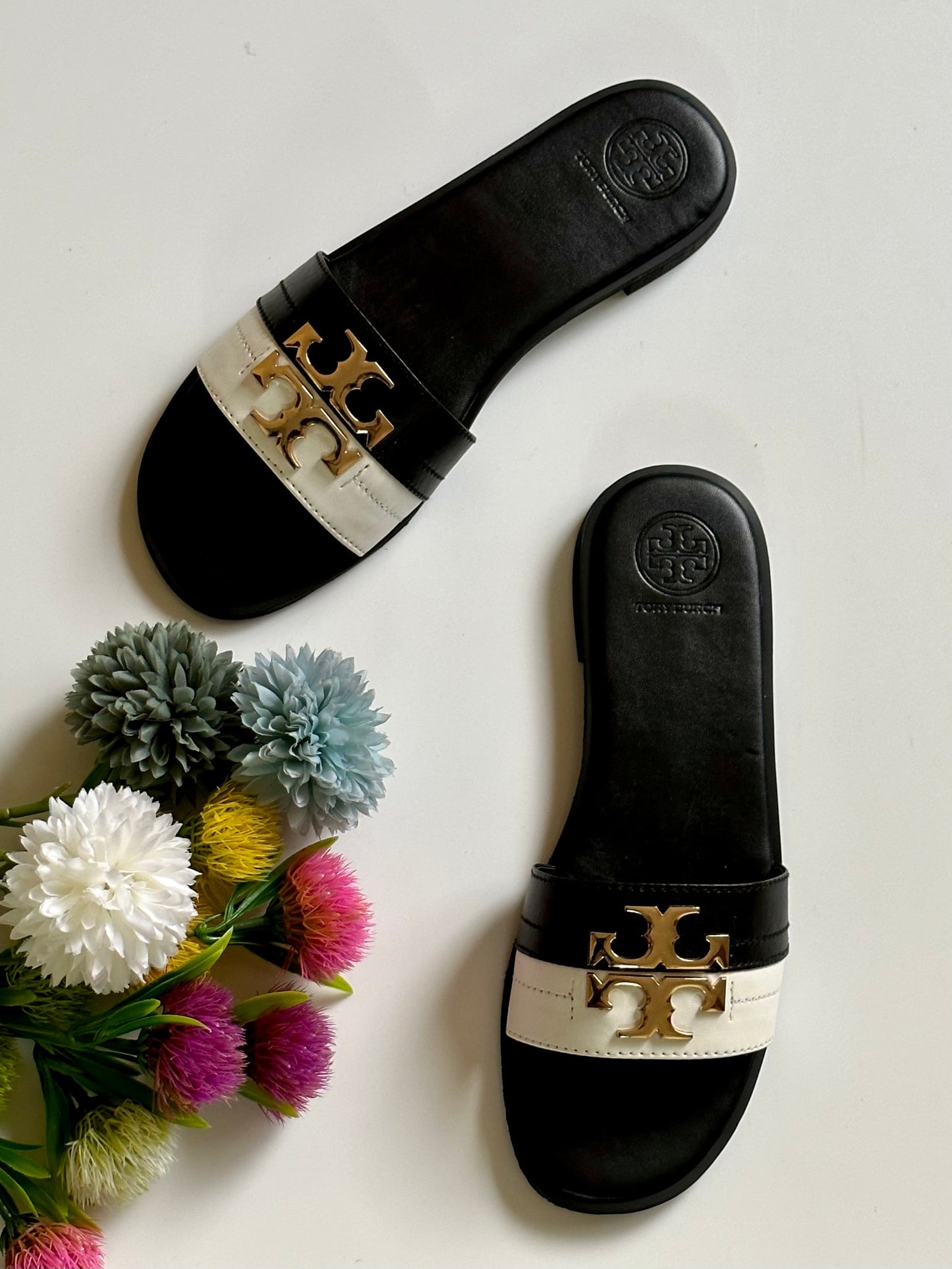 T Burch Slide