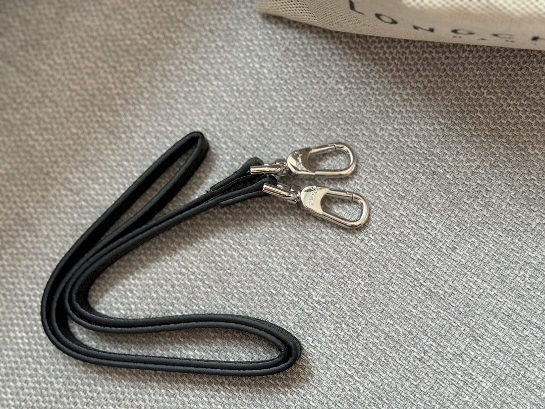 Longchamp Brand Famous Bag