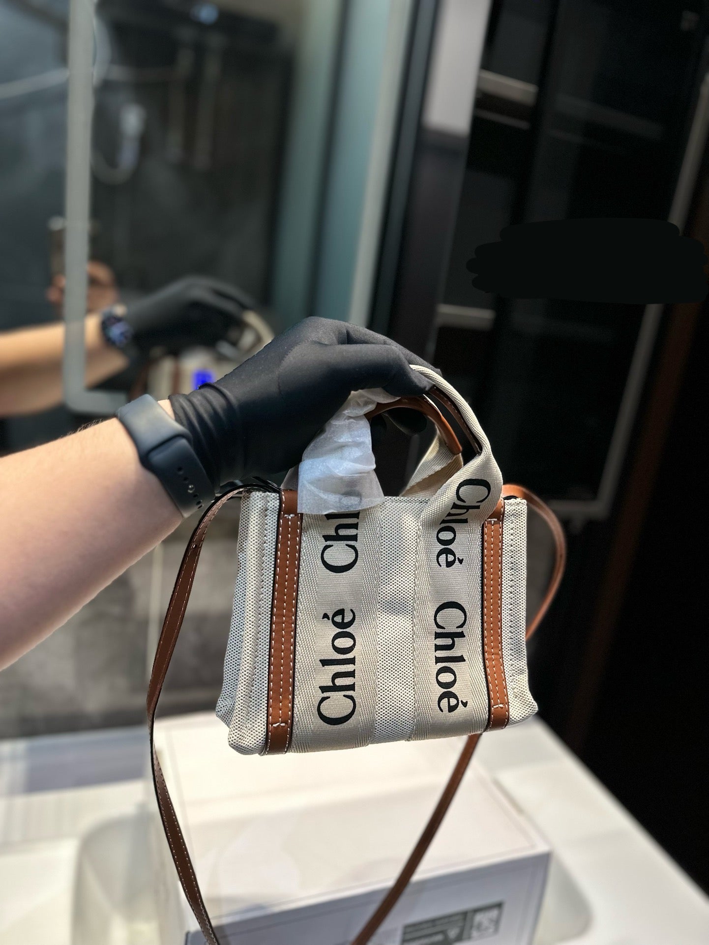 Chl*e Bag ( 2 Colours )