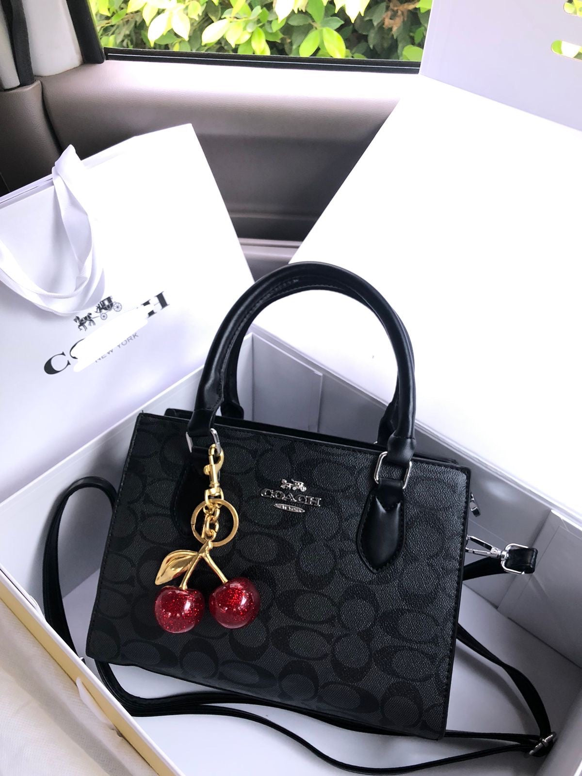 C*ach Brand Handbags ( 3 Shades )