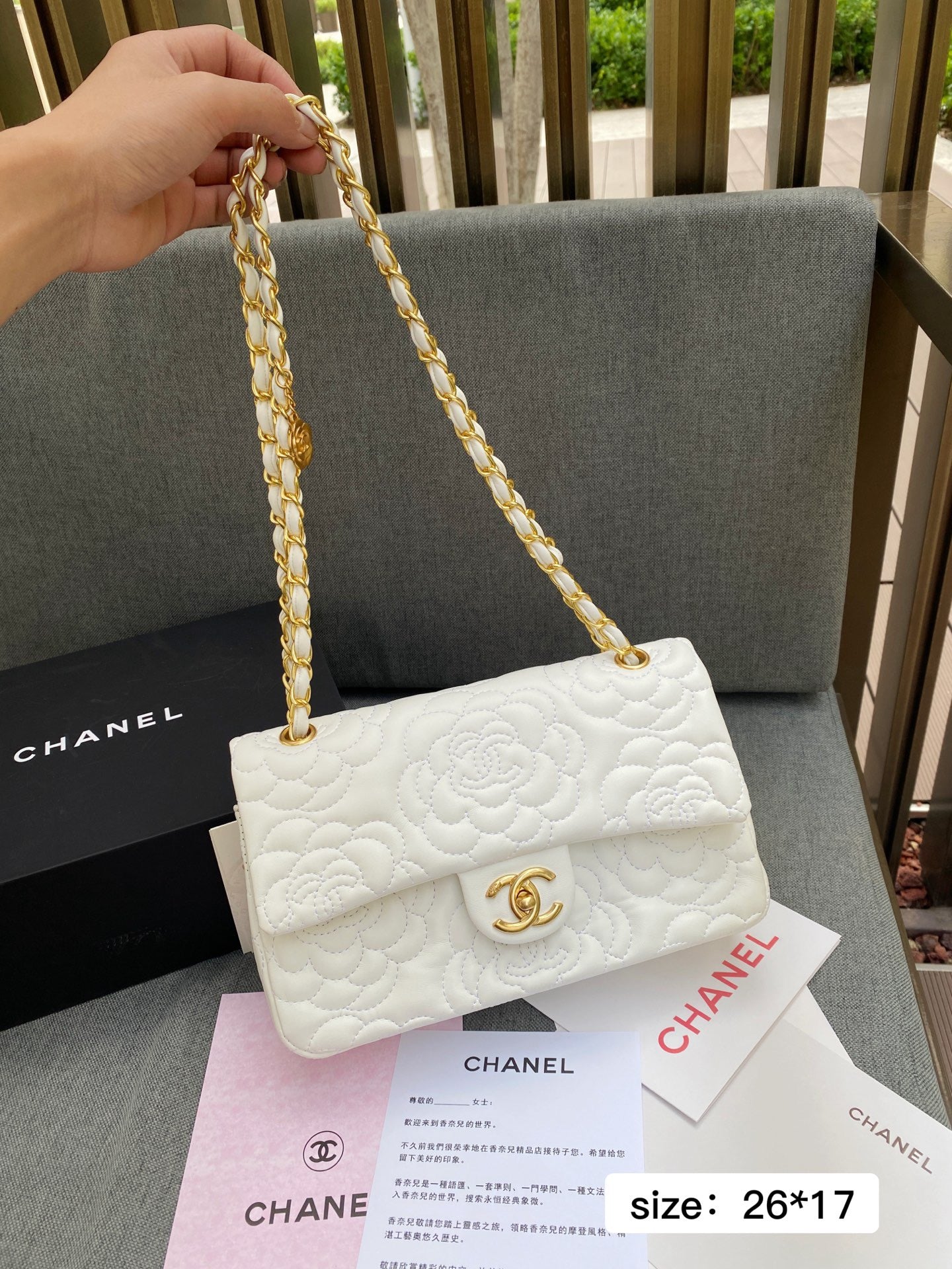 Cha*el Brand Bag