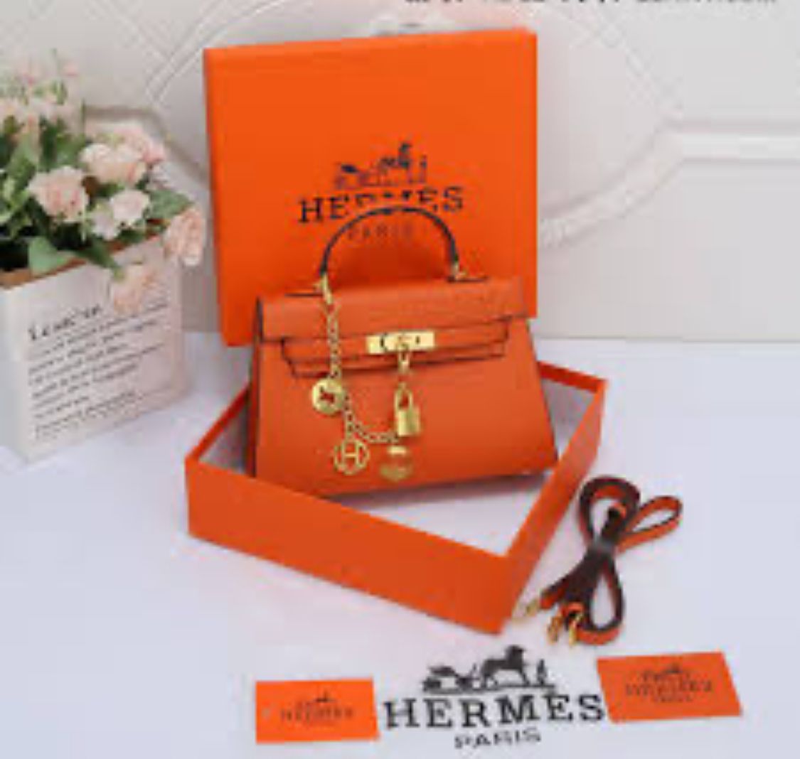 H*rmes Bag ( Multi Colours )