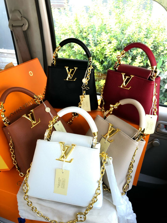 Lv Bag ( 5 colours )