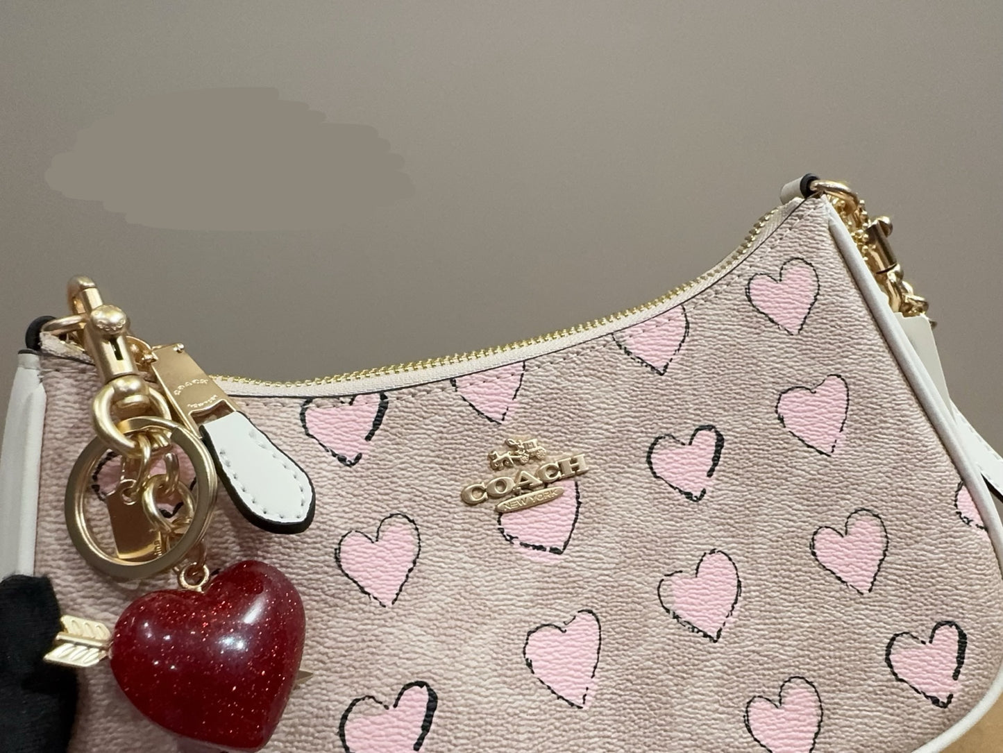 Coach Shoulder bag