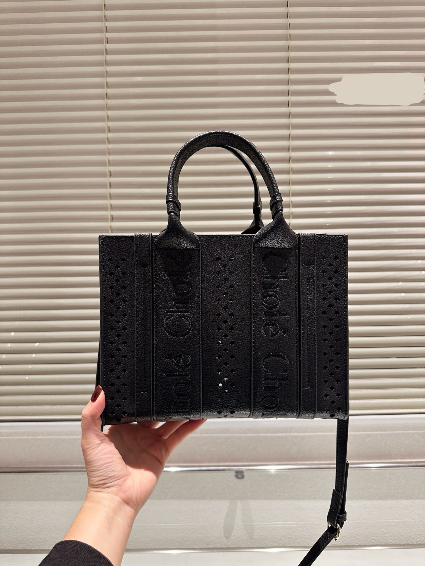 Chl*e Bag ( 3 Colours )