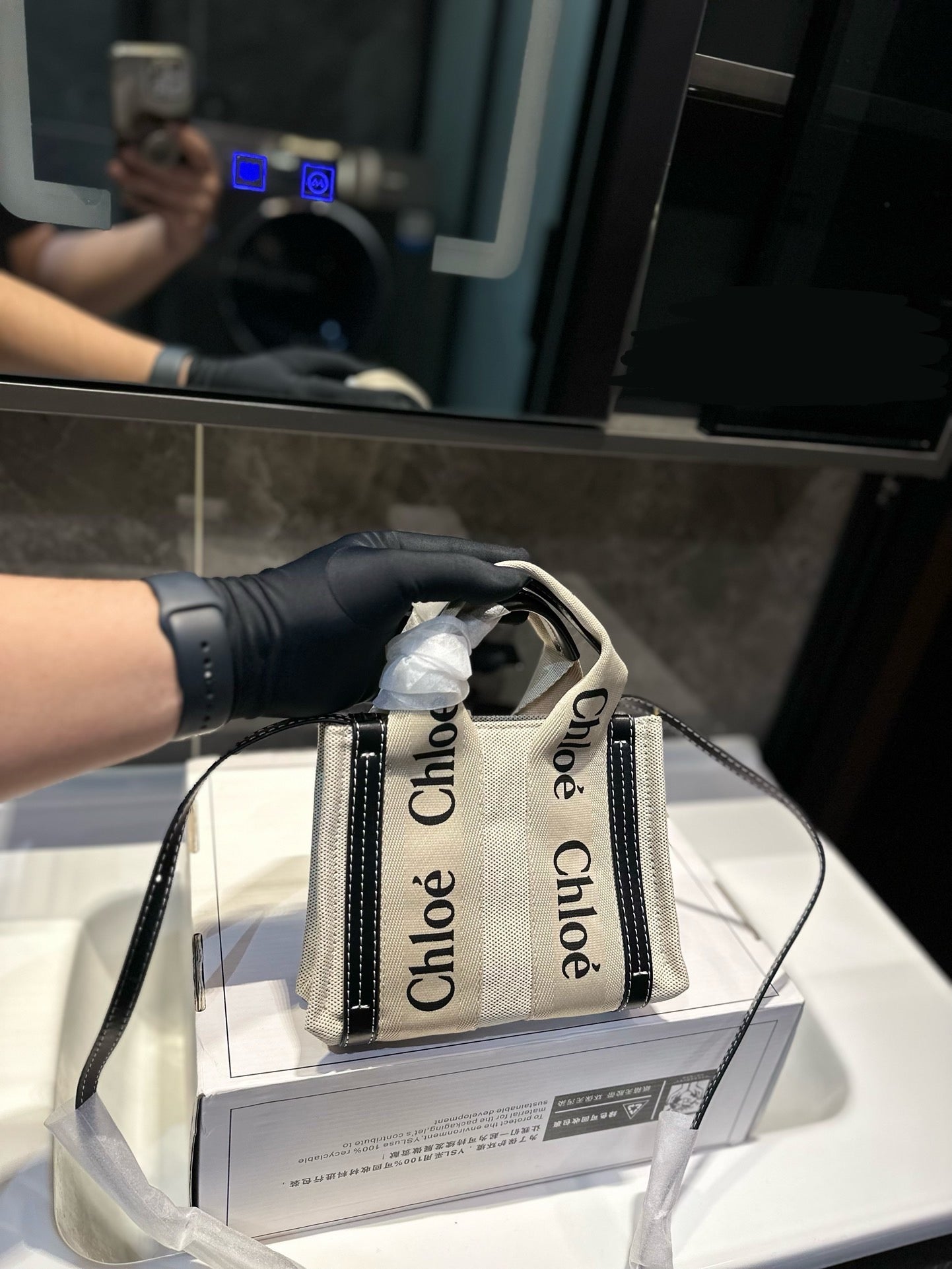 Chl*e Bag ( 2 Colours )