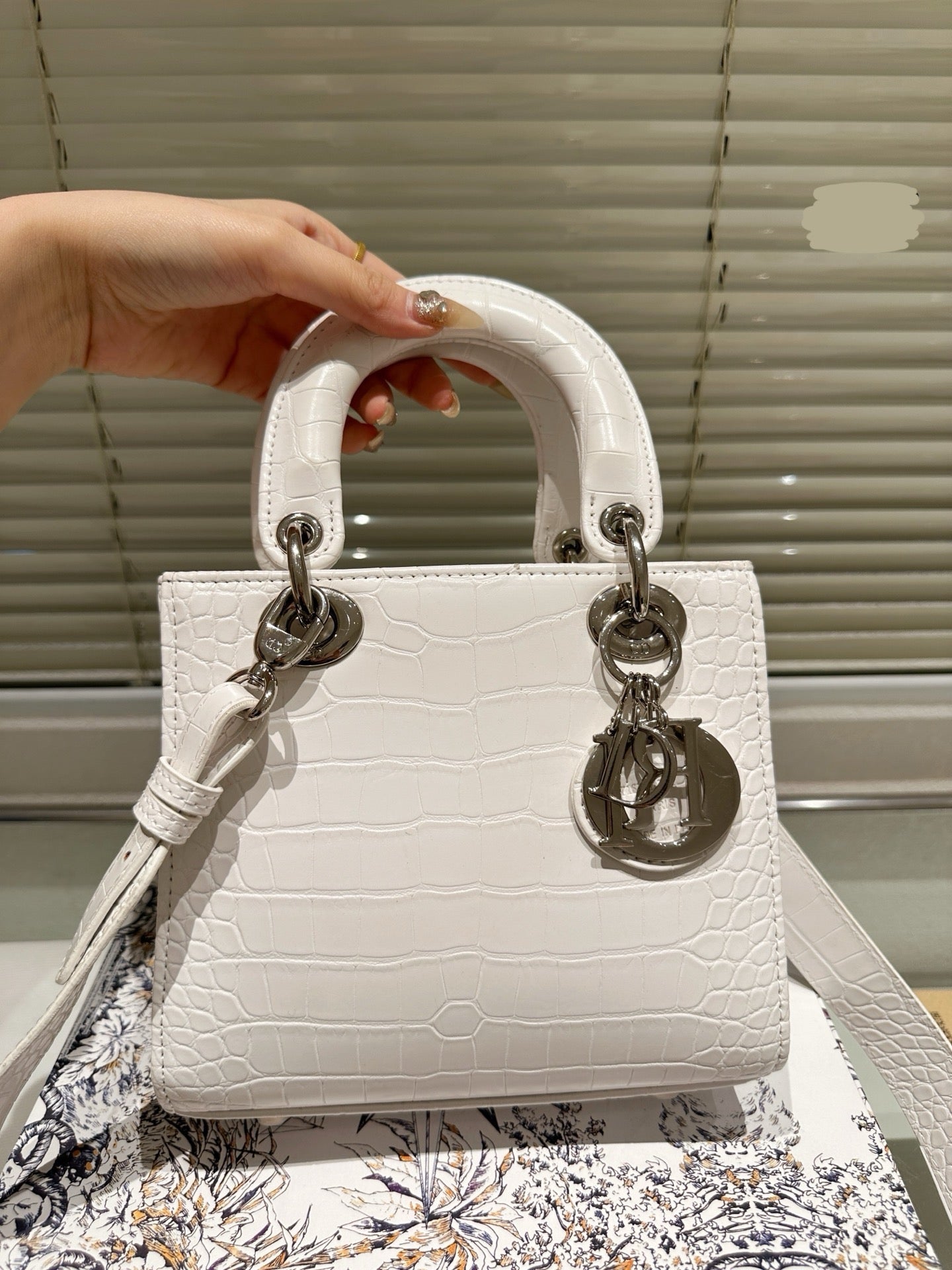 Di*r Most Demanding Bag ( 5 Colours )