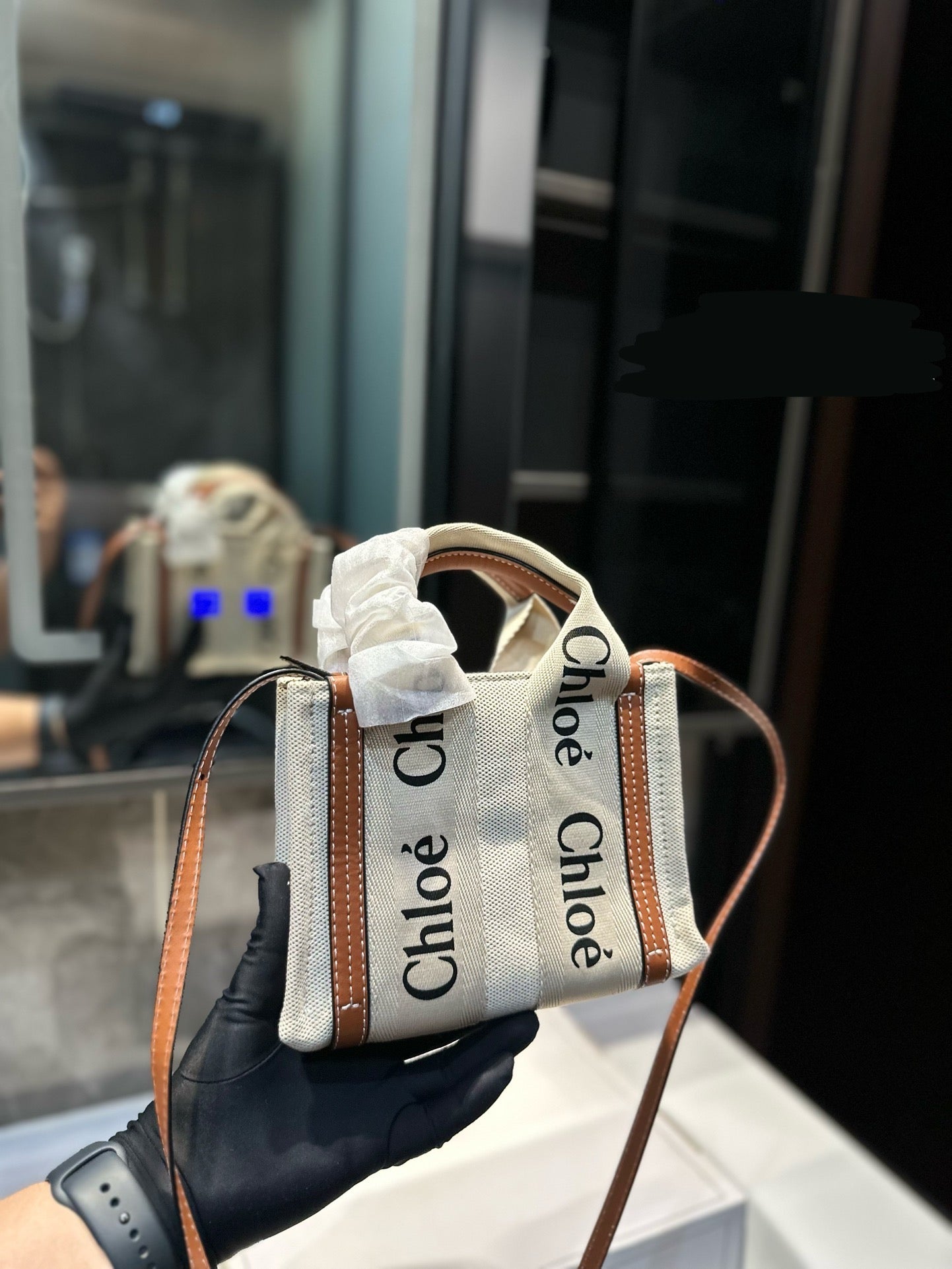 Chl*e Bag ( 2 Colours )