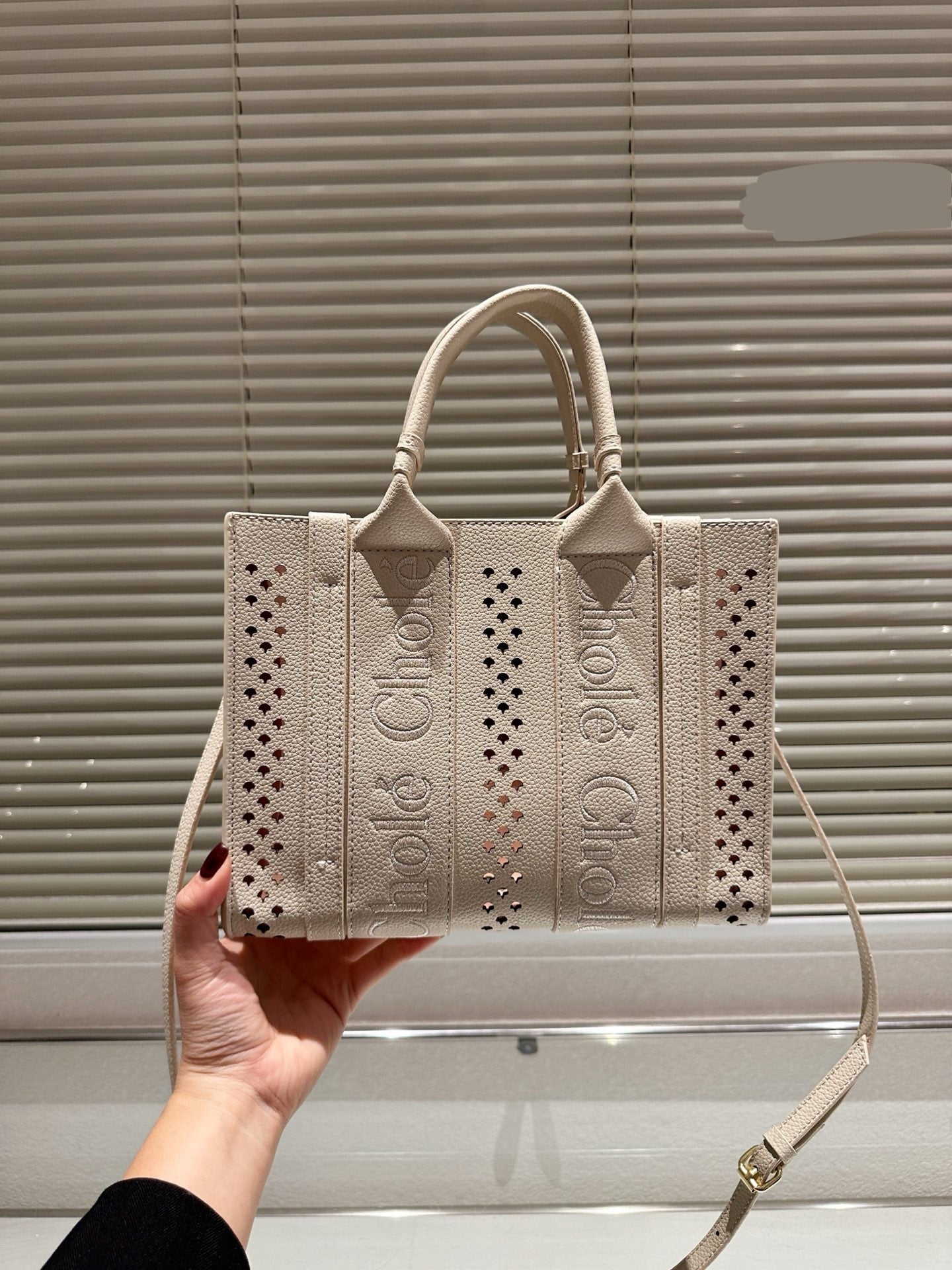 Chl*e Bag ( 3 Colours )