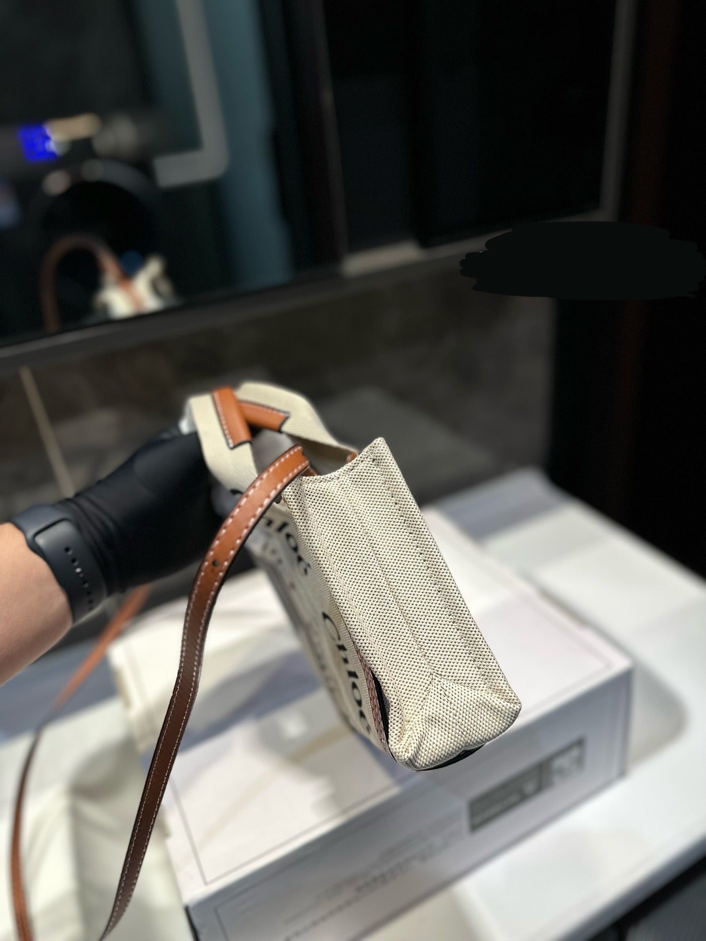 Chl*e Bag ( 2 Colours )