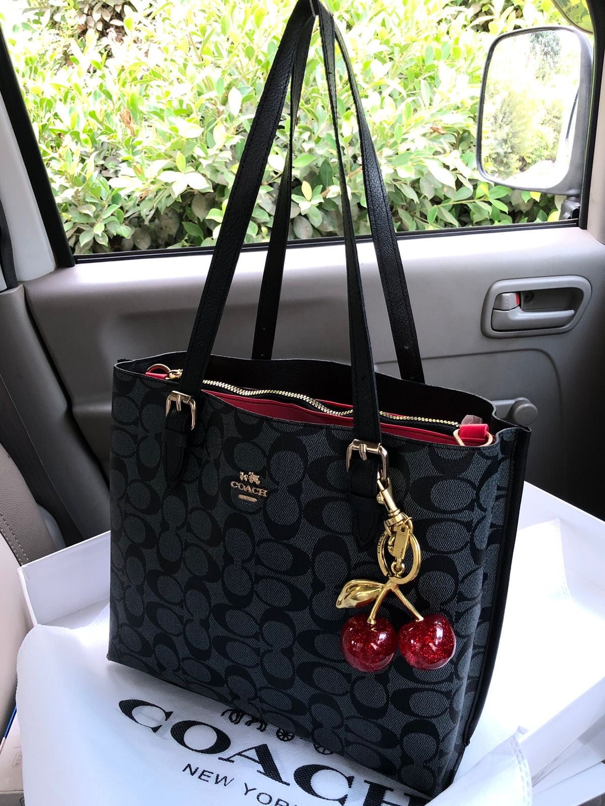 C*ach Handbags ( 3 Shades )