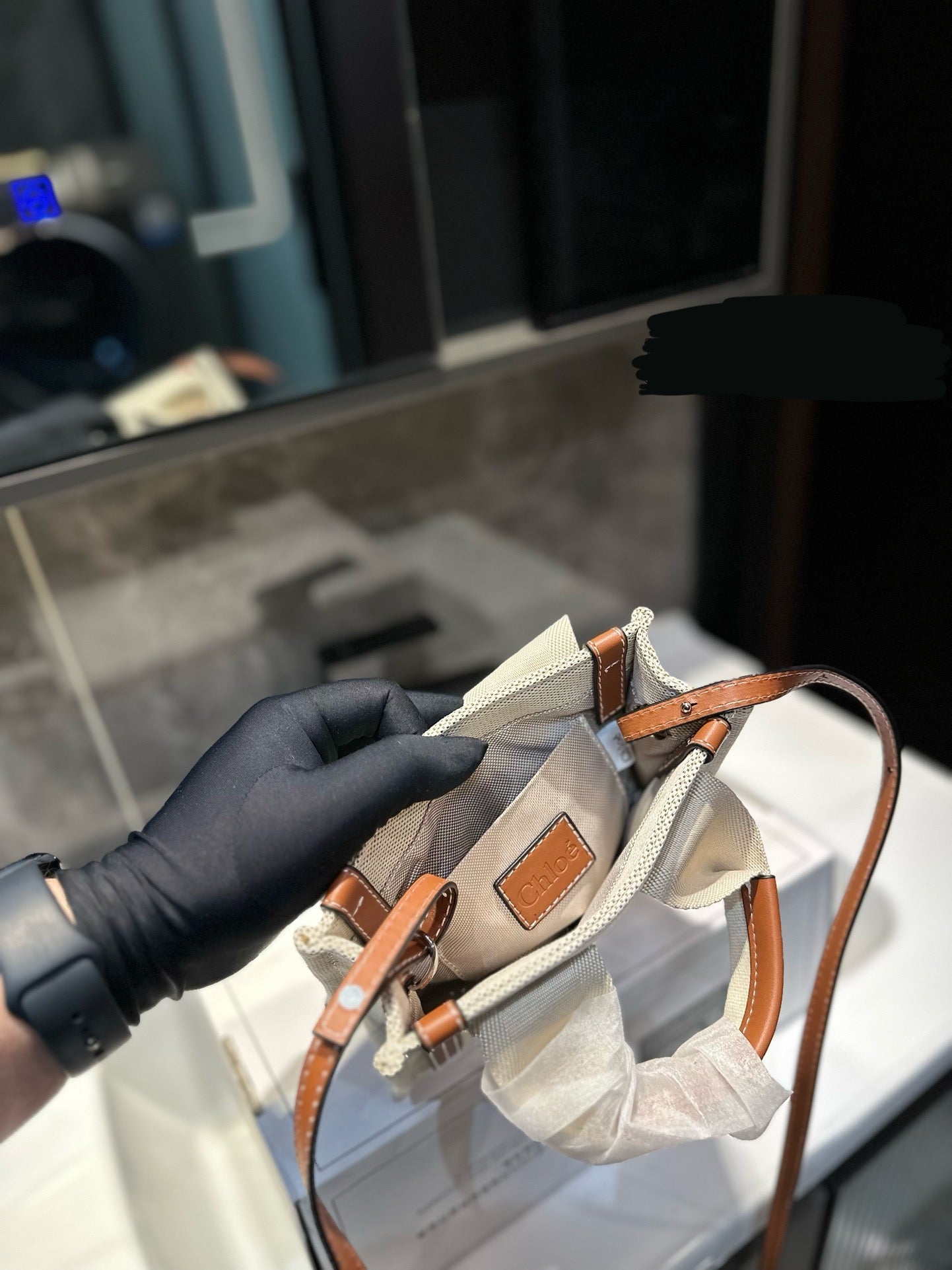 Chl*e Bag ( 2 Colours )