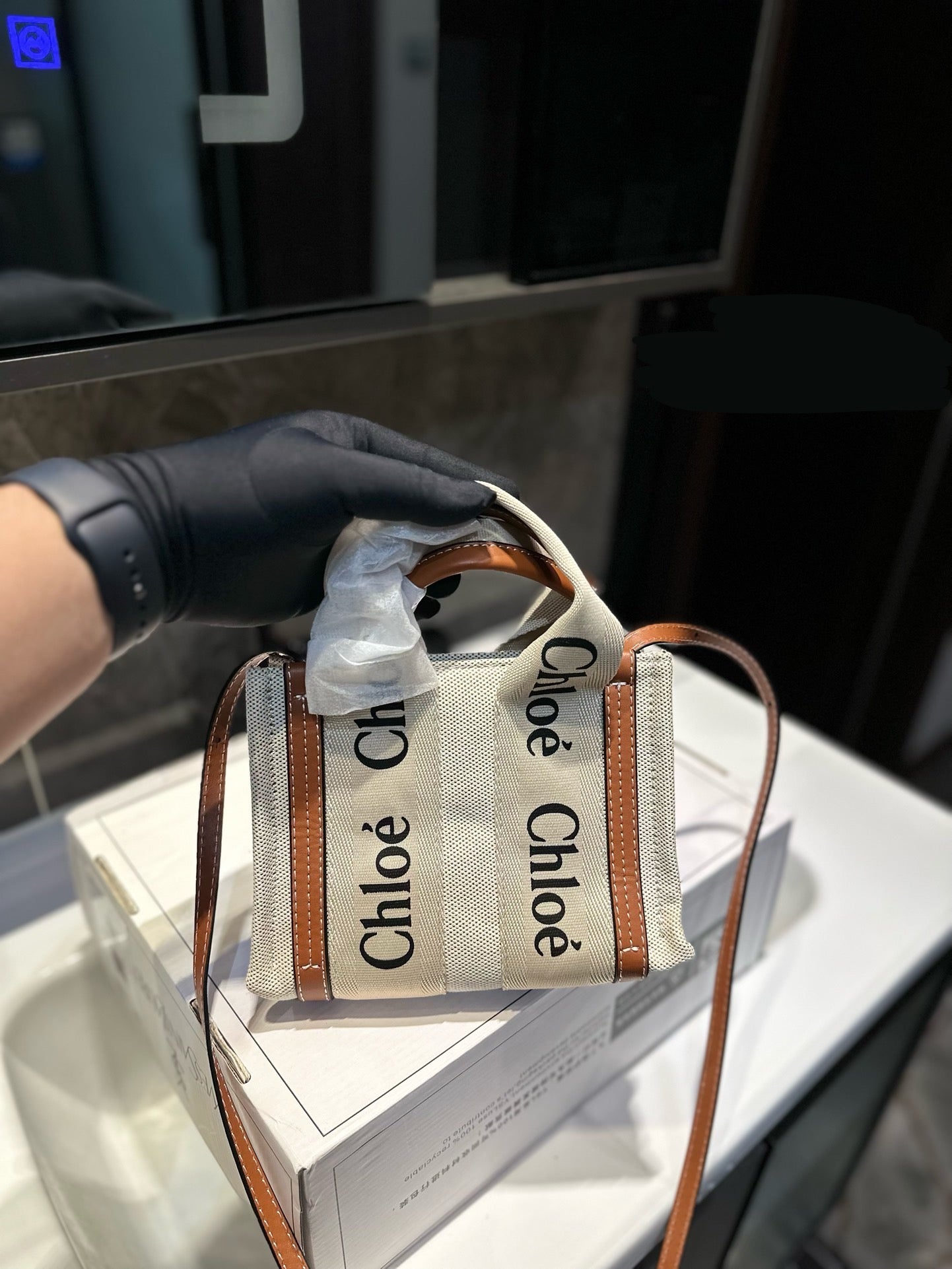 Chl*e Bag ( 2 Colours )