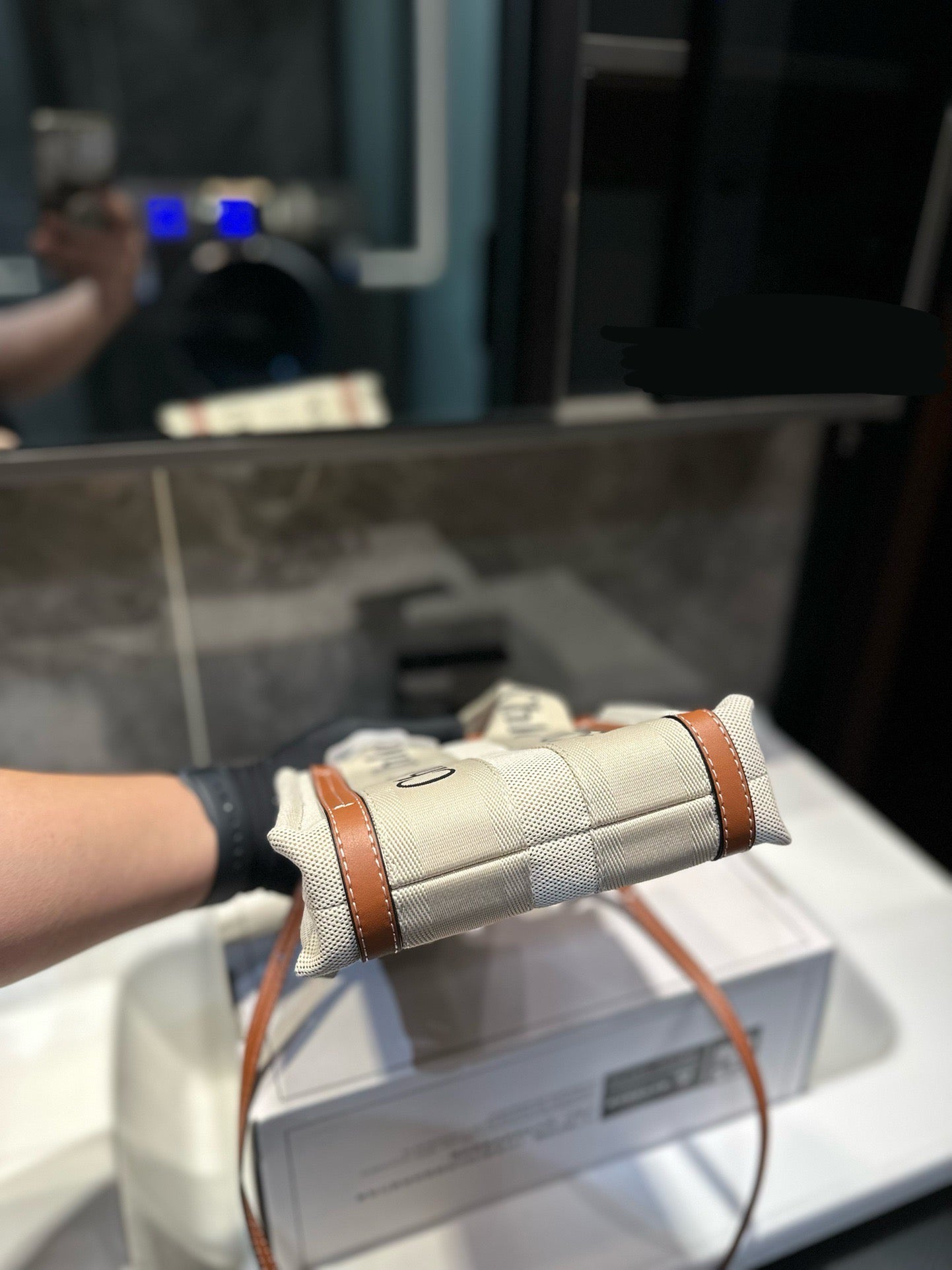 Chl*e Bag ( 2 Colours )