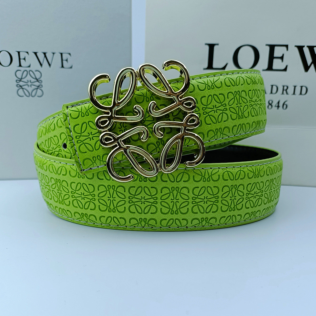 Loewe Belt ( 3 Buckle Shades )
