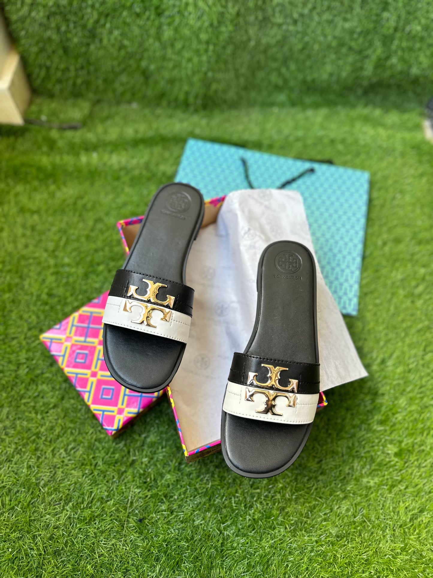 T Burch slides