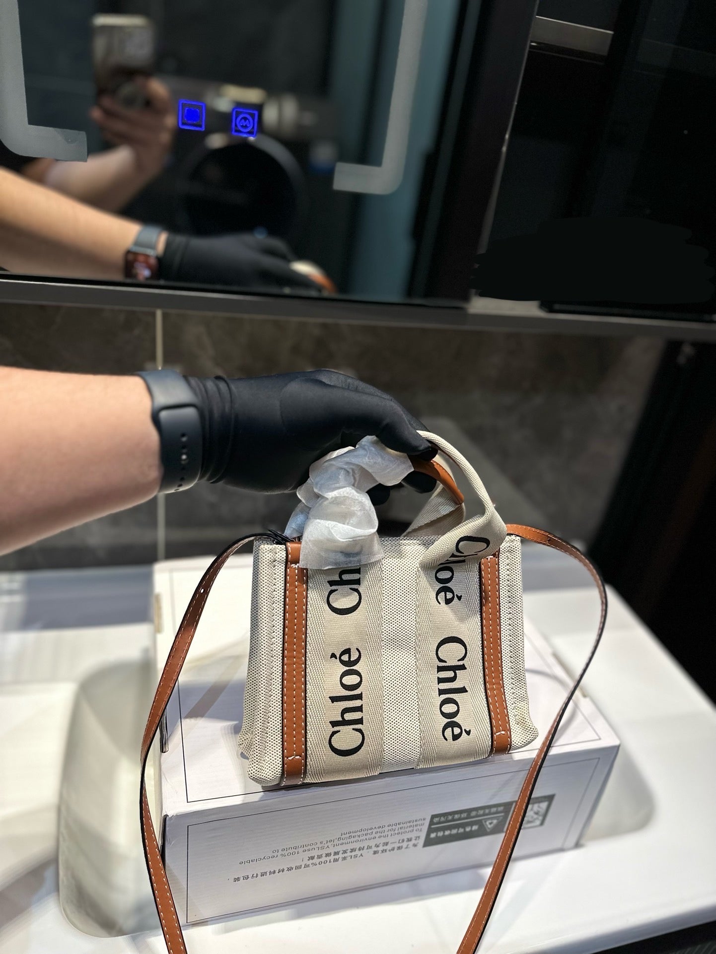 Chl*e Bag ( 2 Colours )